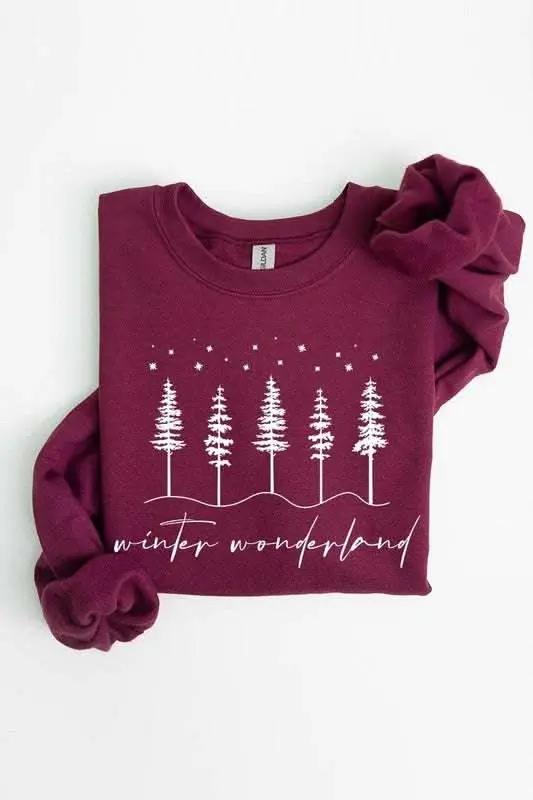 Color Bear Graphic Sweatshirt Unisex Fleece Winter