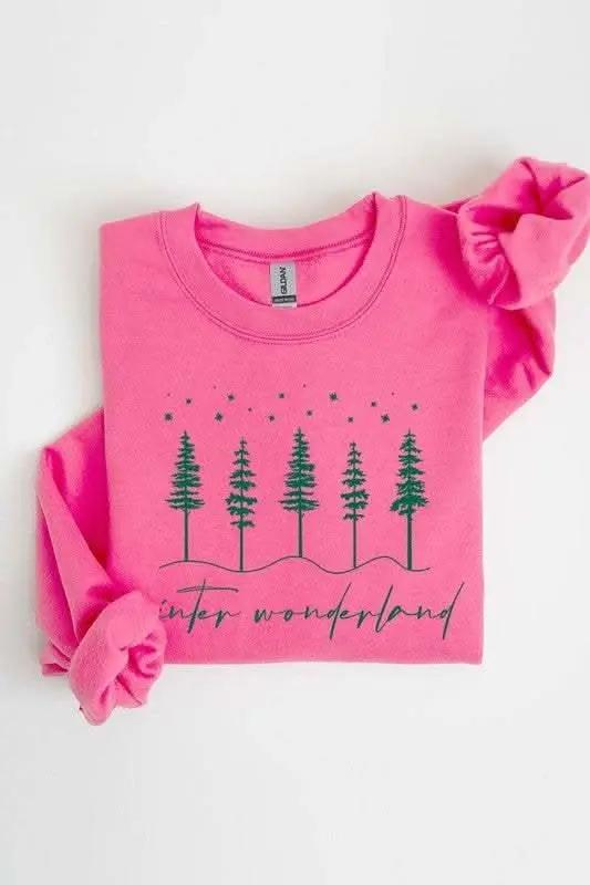 Color Bear Graphic Sweatshirt Unisex Fleece Winter