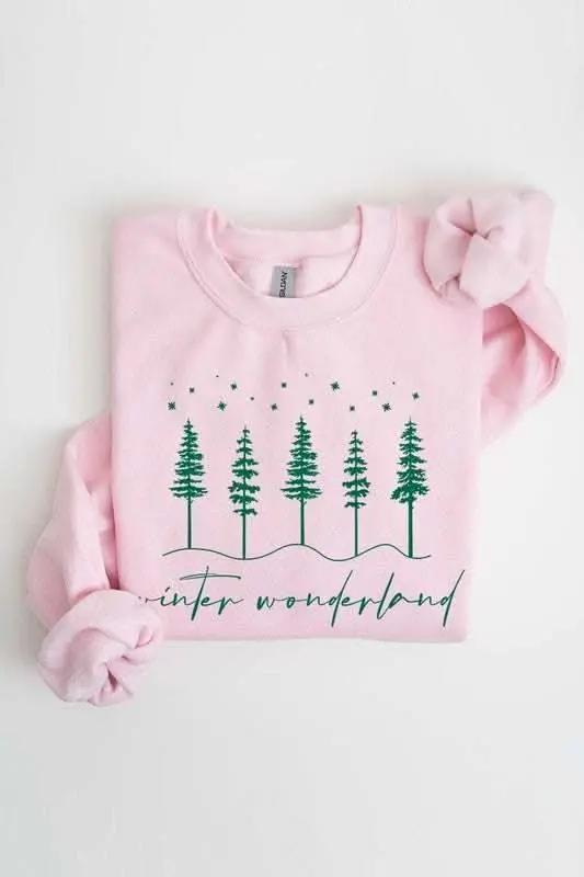Color Bear Graphic Sweatshirt Unisex Fleece Winter