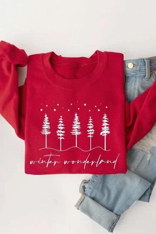 Color Bear Graphic Sweatshirt Unisex Fleece Winter