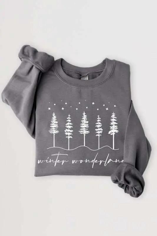 Color Bear Graphic Sweatshirt Unisex Fleece Winter