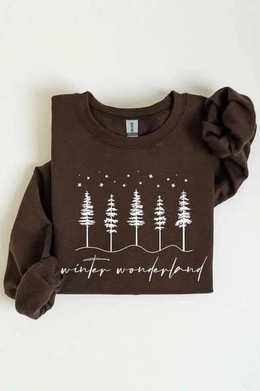 Color Bear Graphic Sweatshirt Unisex Fleece Winter