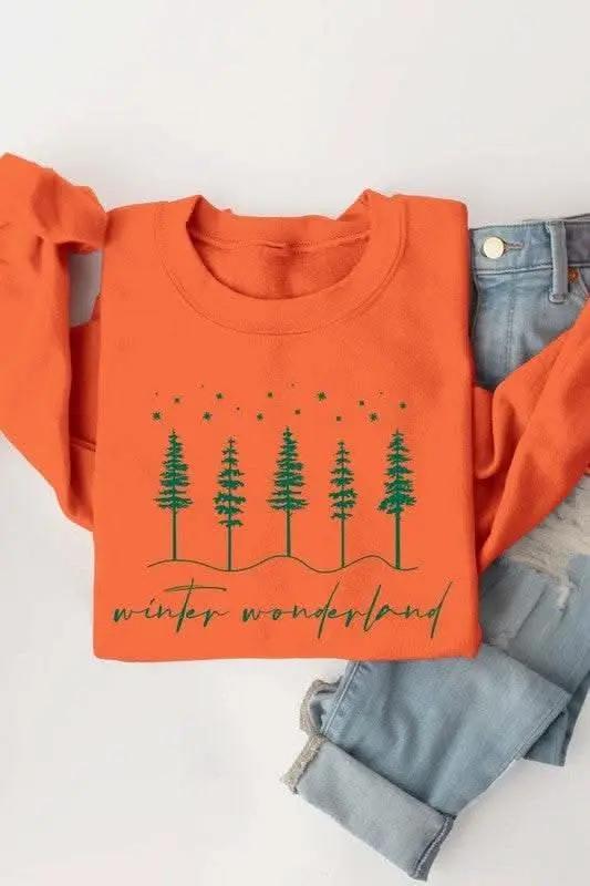 Color Bear Graphic Sweatshirt Unisex Fleece Winter