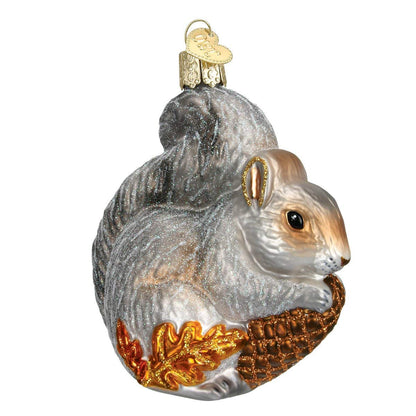 Old World Hungry Squirrel