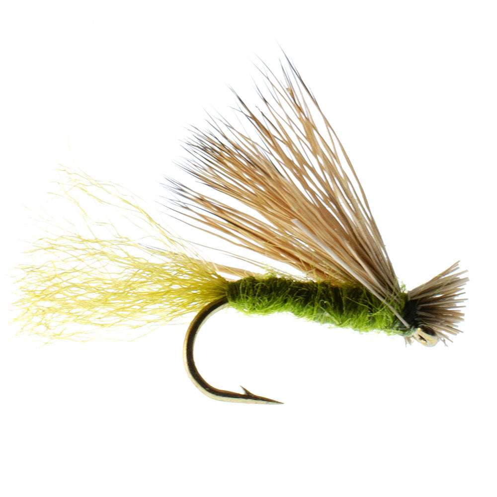 Barbless Olive X Caddis Emerging Caddis Adult Fly - 6 Flies Size 18